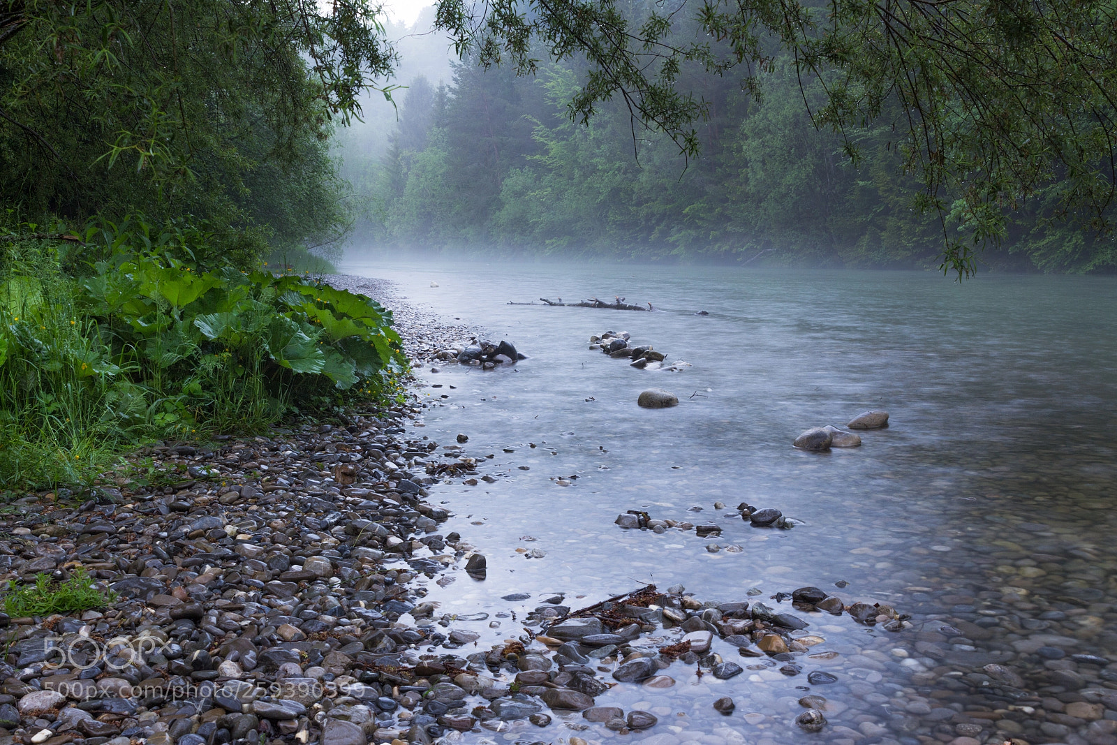 Canon EOS 60D sample photo. Under the rain photography