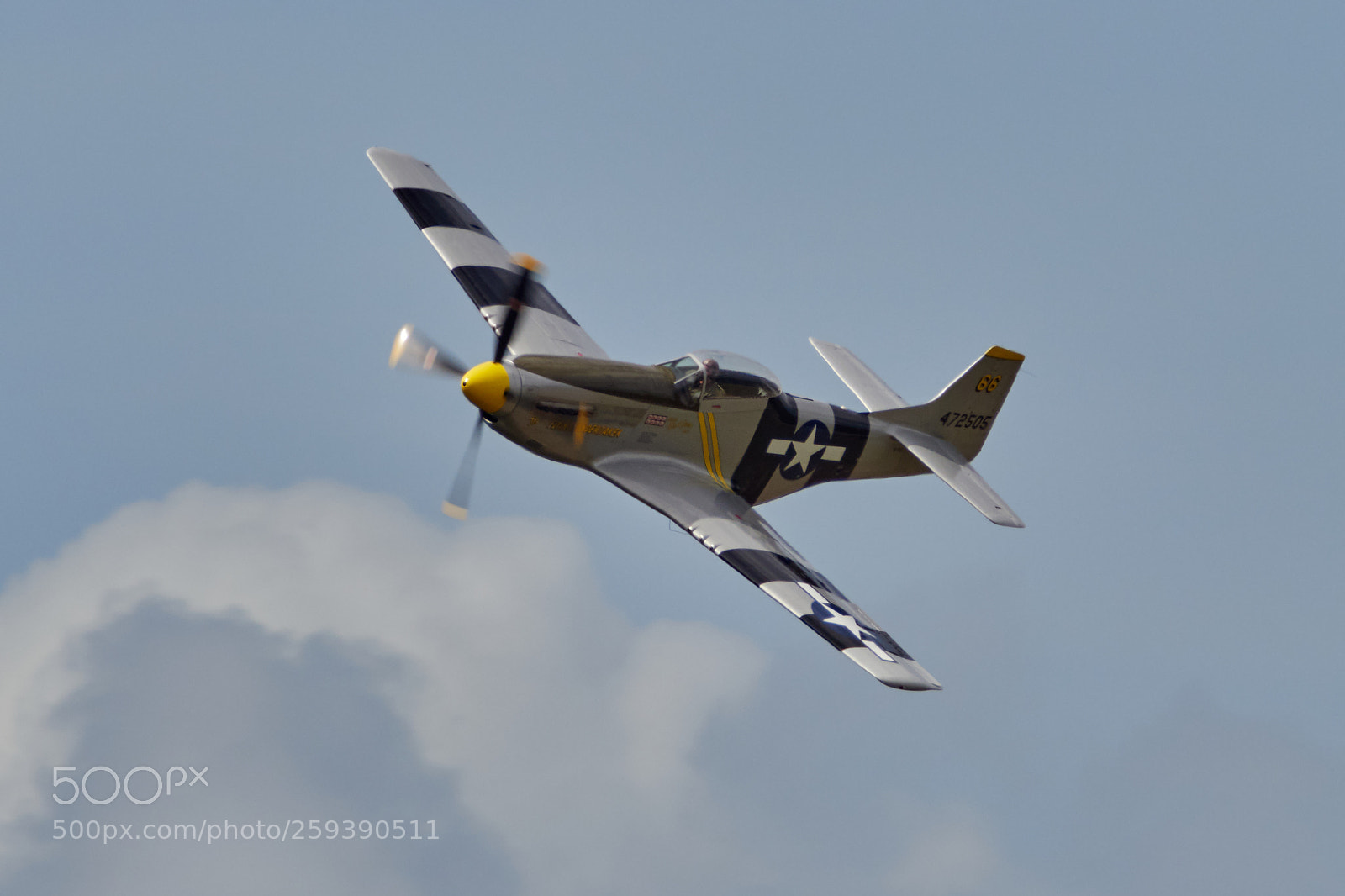 Olympus OM-D E-M1 Mark II sample photo. P51d mustang (5) photography