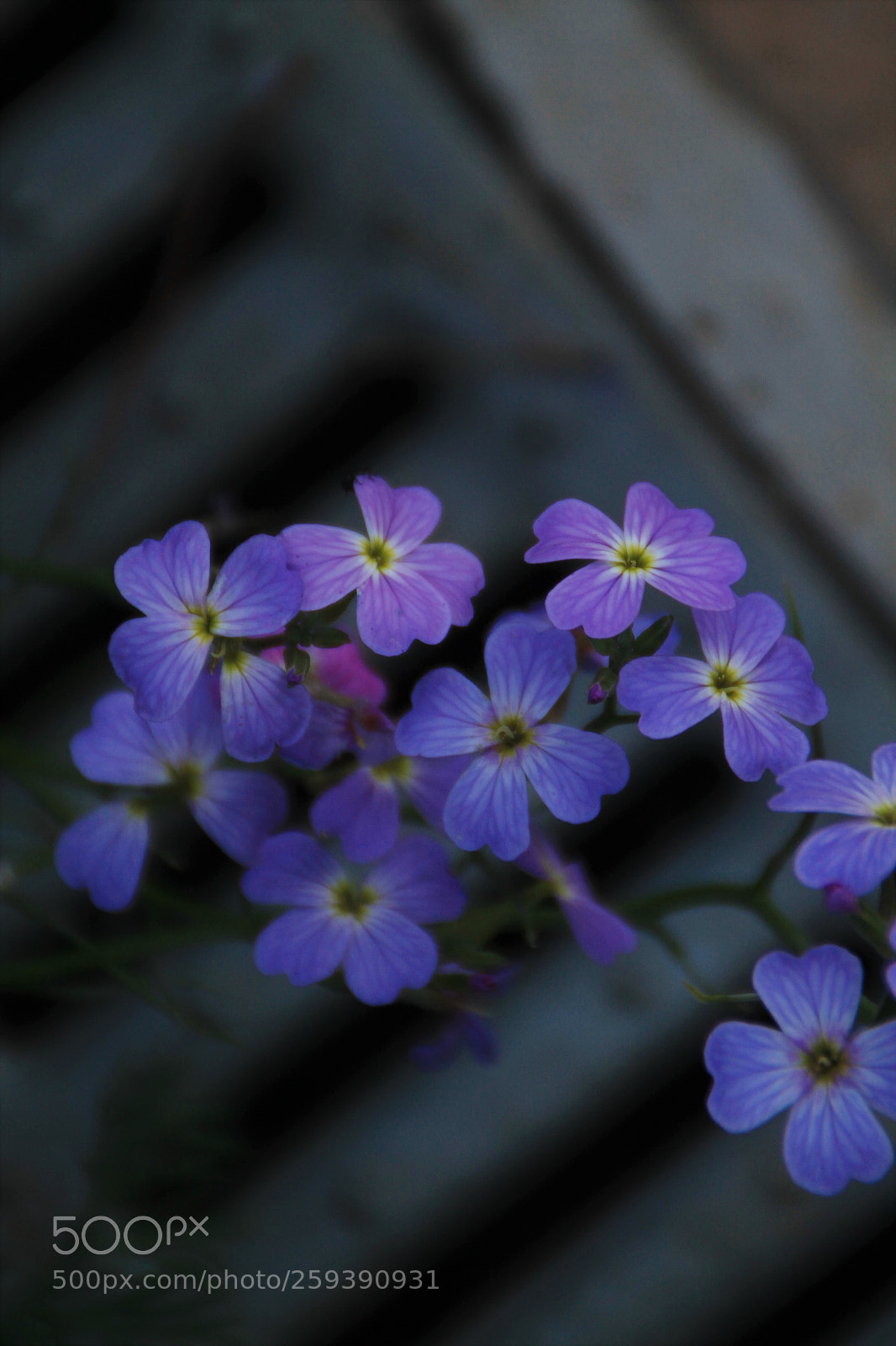 Canon EOS 1100D (EOS Rebel T3 / EOS Kiss X50) sample photo. Gathered in darkness photography