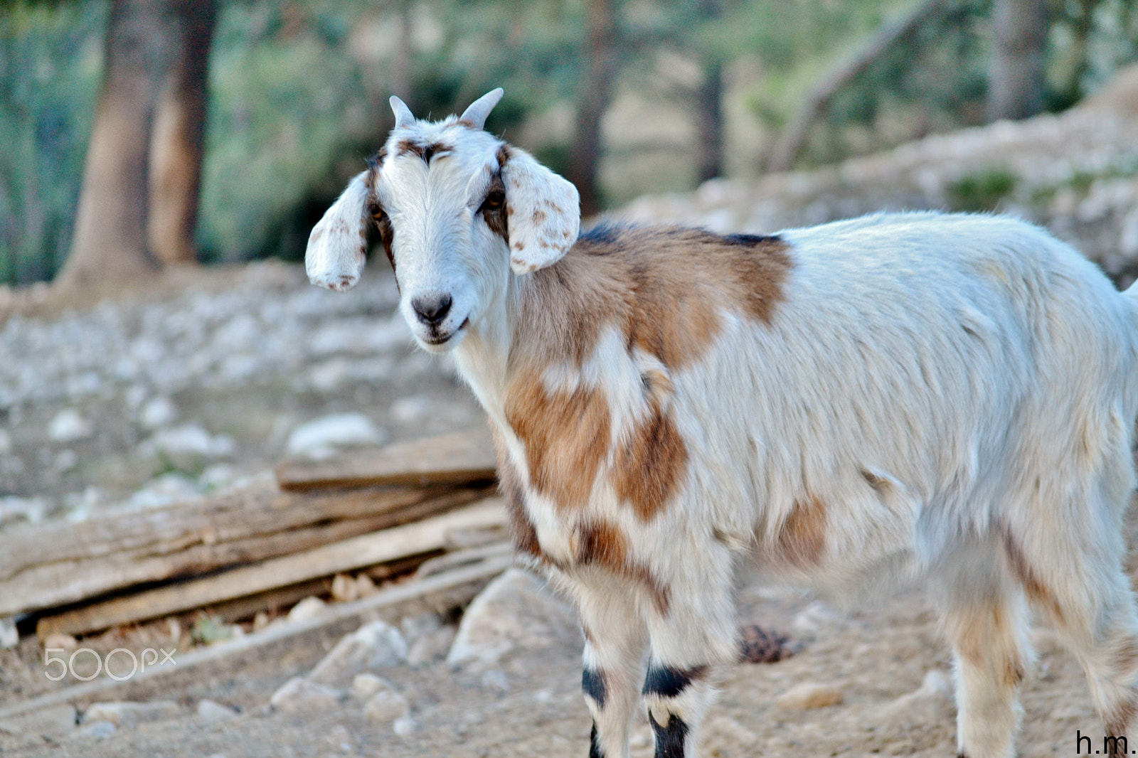 Nikon D3100 sample photo. Eebf o photography