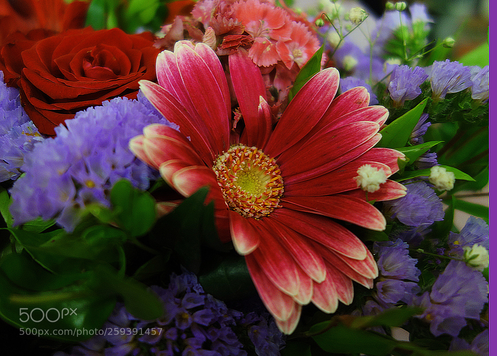 Sony Cyber-shot DSC-RX100 sample photo. Copia photography