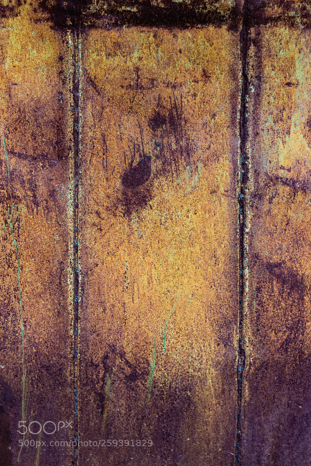 Canon EOS 600D (Rebel EOS T3i / EOS Kiss X5) sample photo. Rusty metal texture background. photography