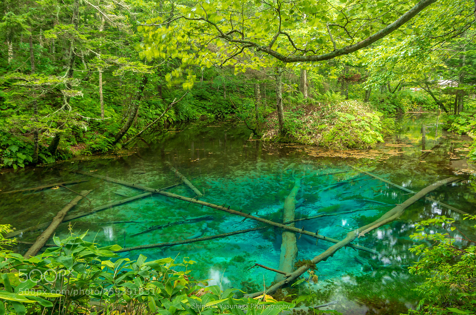Pentax K-30 sample photo. Clear pond in the photography
