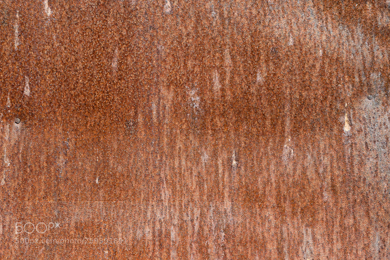 Canon EOS 600D (Rebel EOS T3i / EOS Kiss X5) sample photo. Rusty metal texture background. photography