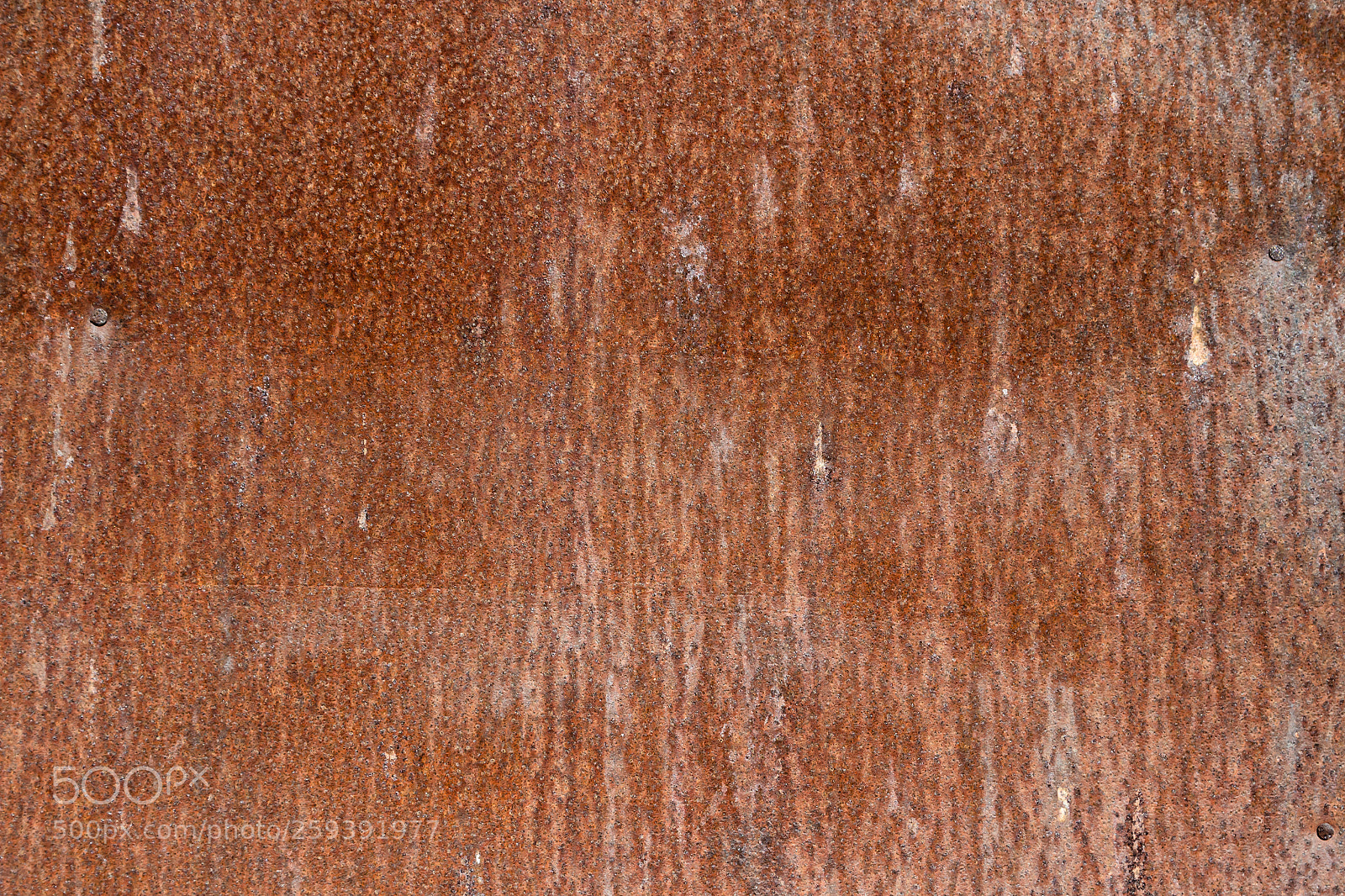 Canon EOS 600D (Rebel EOS T3i / EOS Kiss X5) sample photo. Rusty metal texture background. photography