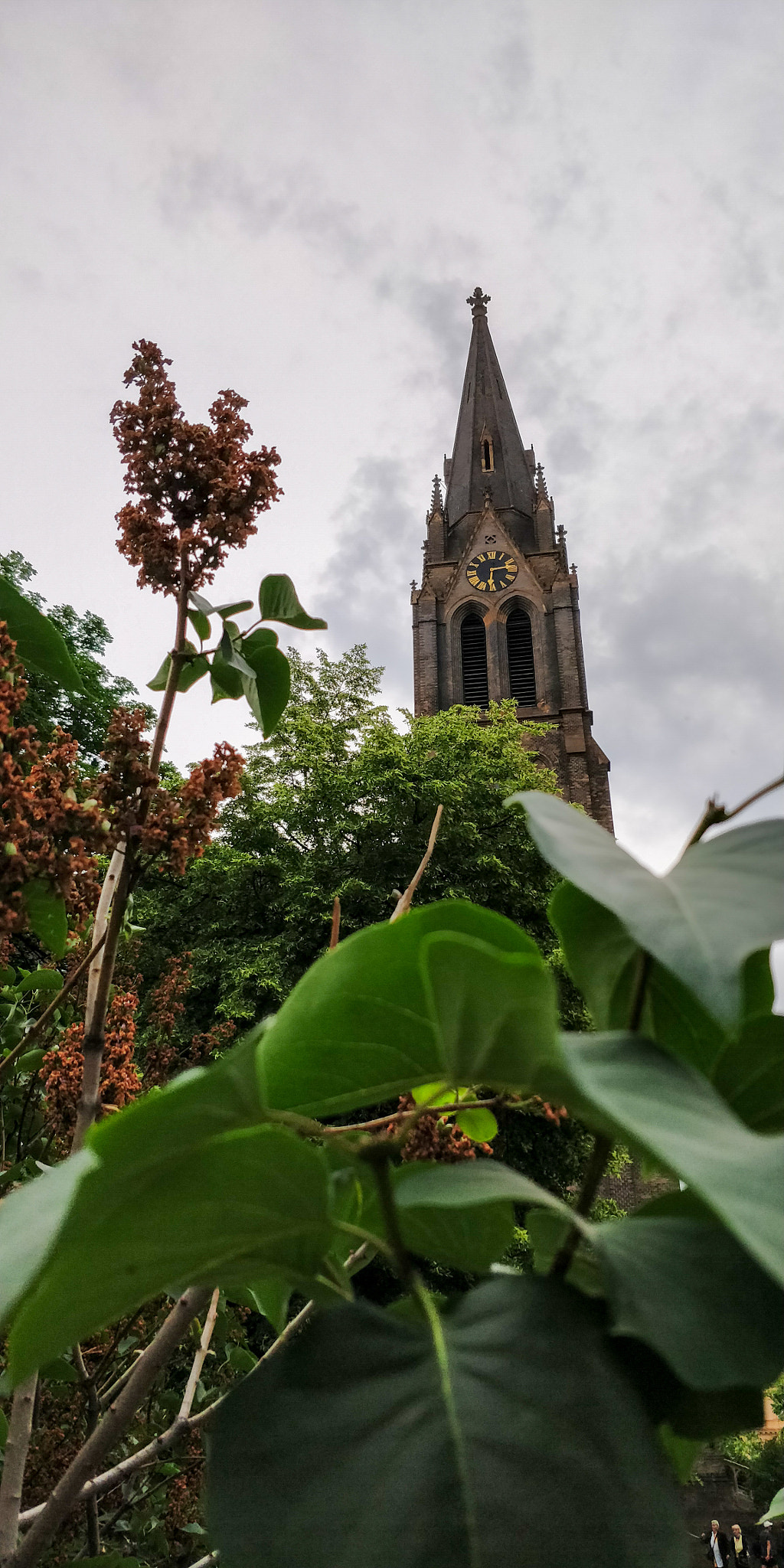 OnePlus 5T sample photo