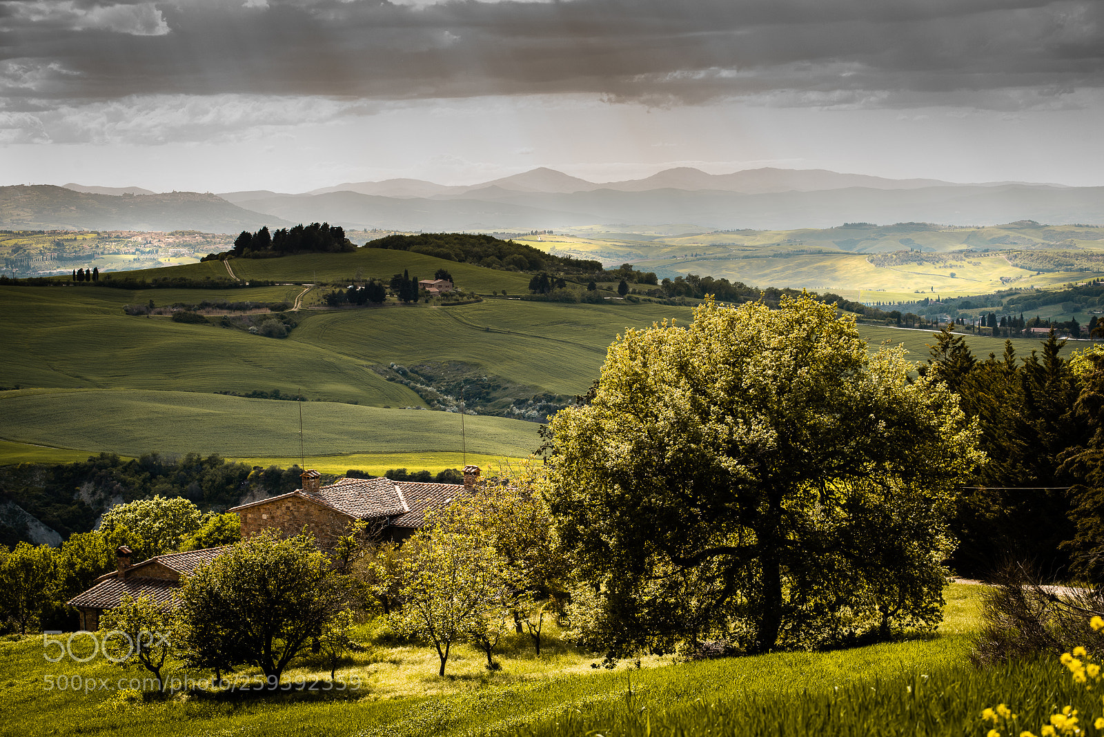 Nikon D810 sample photo. Monticchiello photography