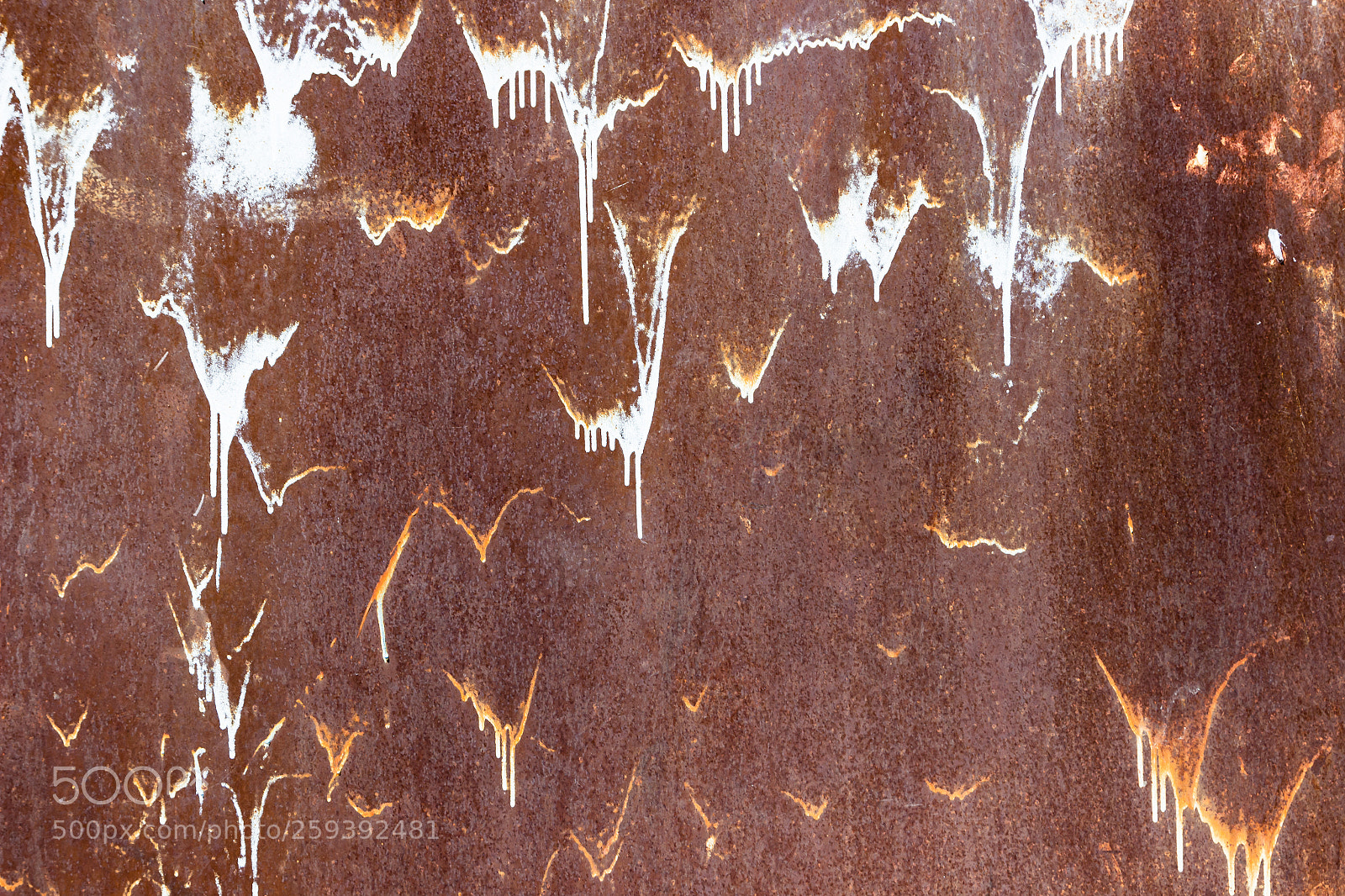 Canon EOS 600D (Rebel EOS T3i / EOS Kiss X5) sample photo. Rusty metal texture background. photography