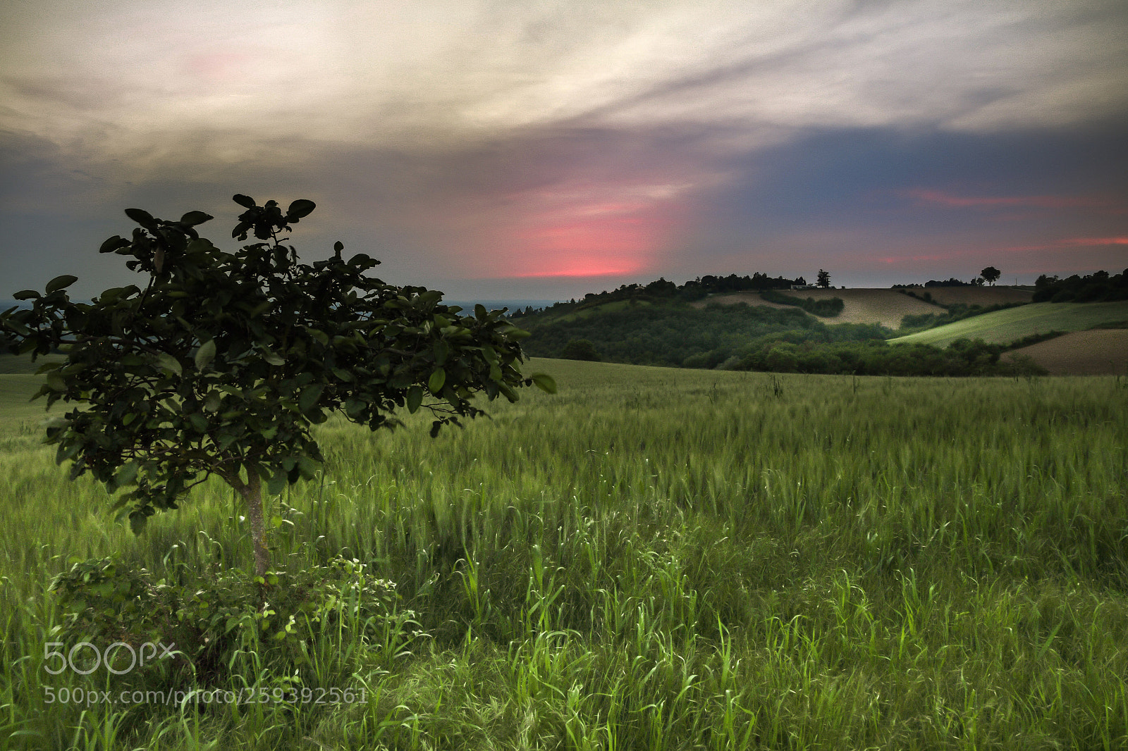 Nikon D7500 sample photo. Campagne toulousaine  photography