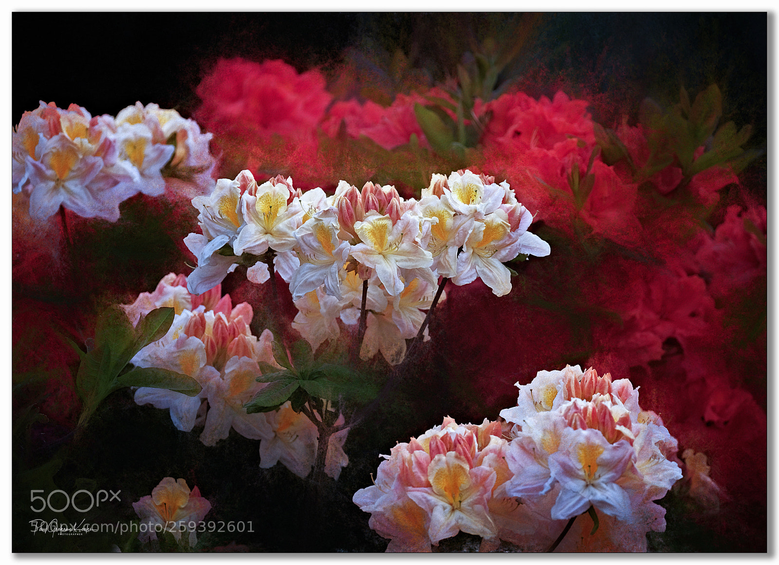 Fujifilm X-H1 sample photo. Array of colours .... photography