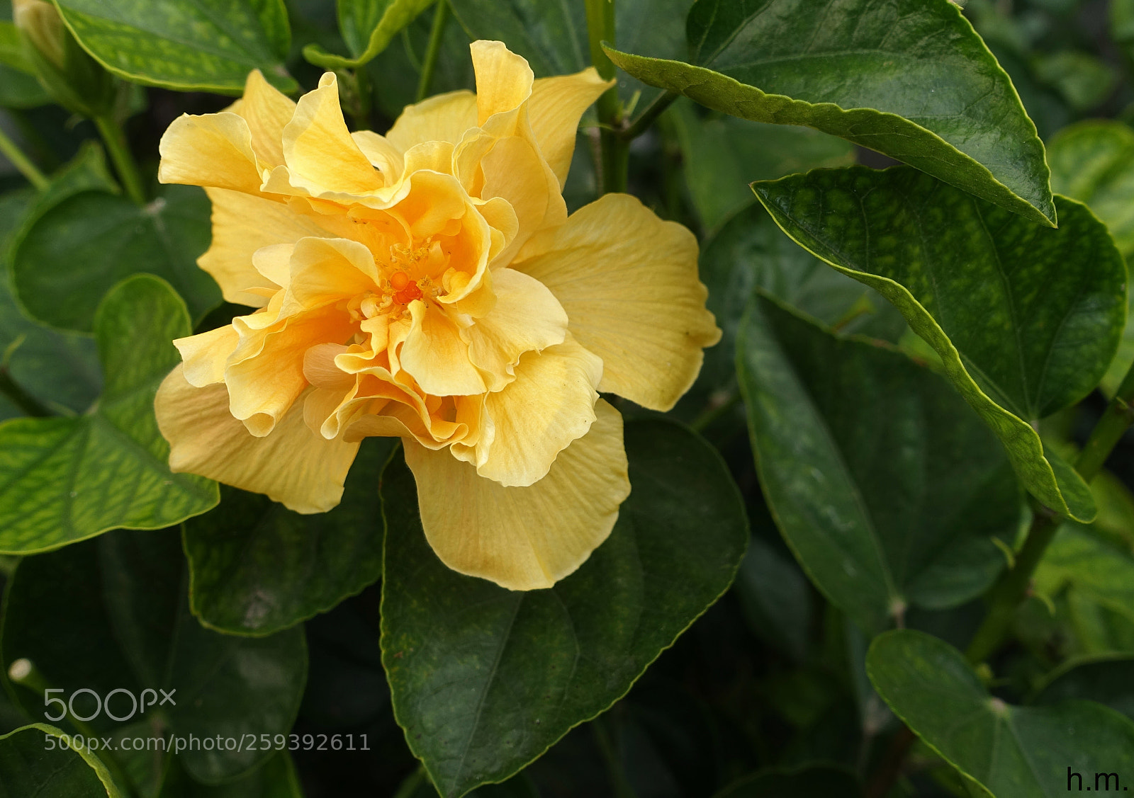 Sony Cyber-shot DSC-RX100 III sample photo. Contornos photography