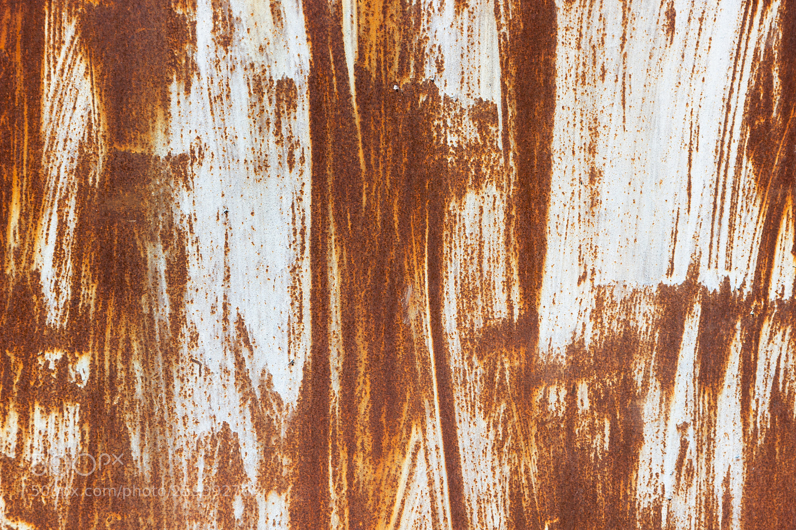 Canon EOS 600D (Rebel EOS T3i / EOS Kiss X5) sample photo. Rusty metal texture background. photography