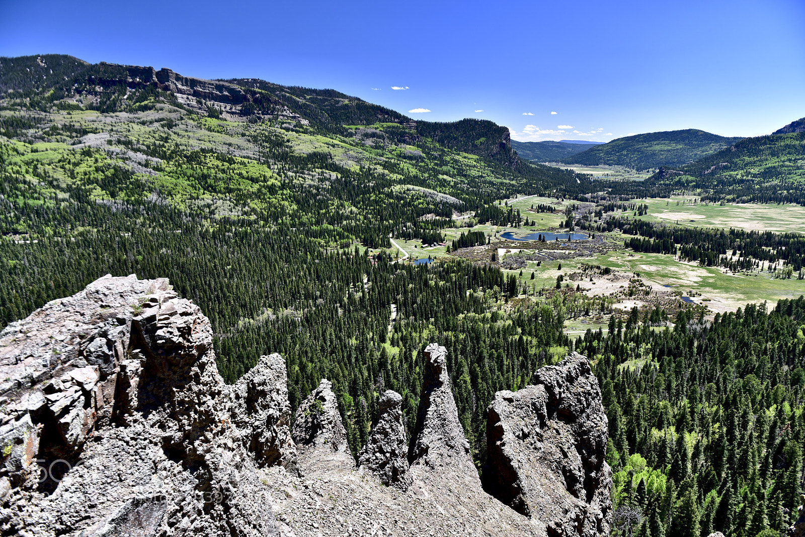 Nikon D810 sample photo. Wolf creek pass photography