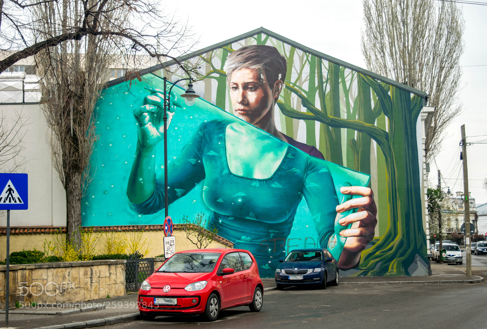 Nikon D3300 sample photo. Mural photography