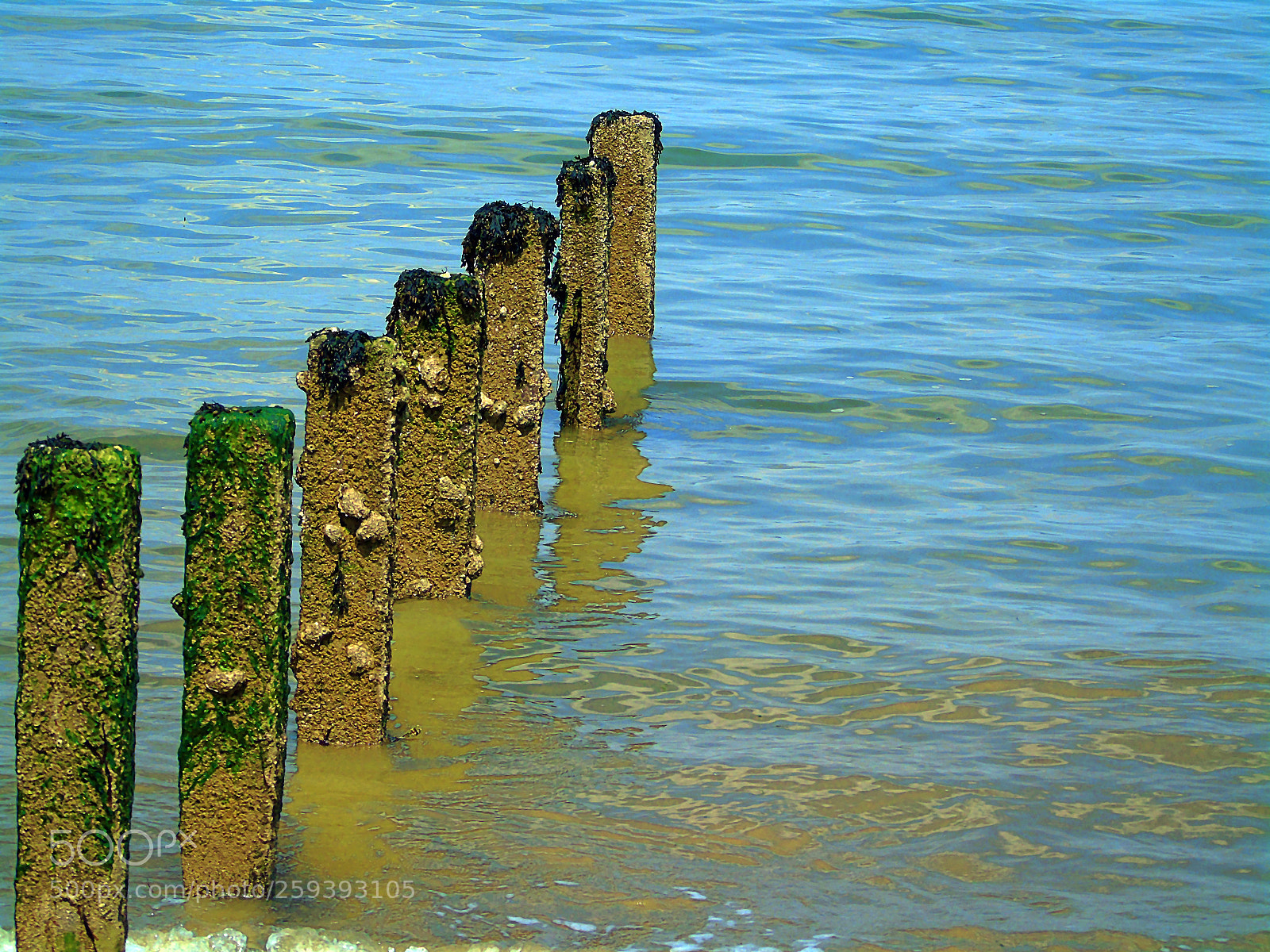 Sony Cyber-shot DSC-H400 sample photo. Out to sea photography