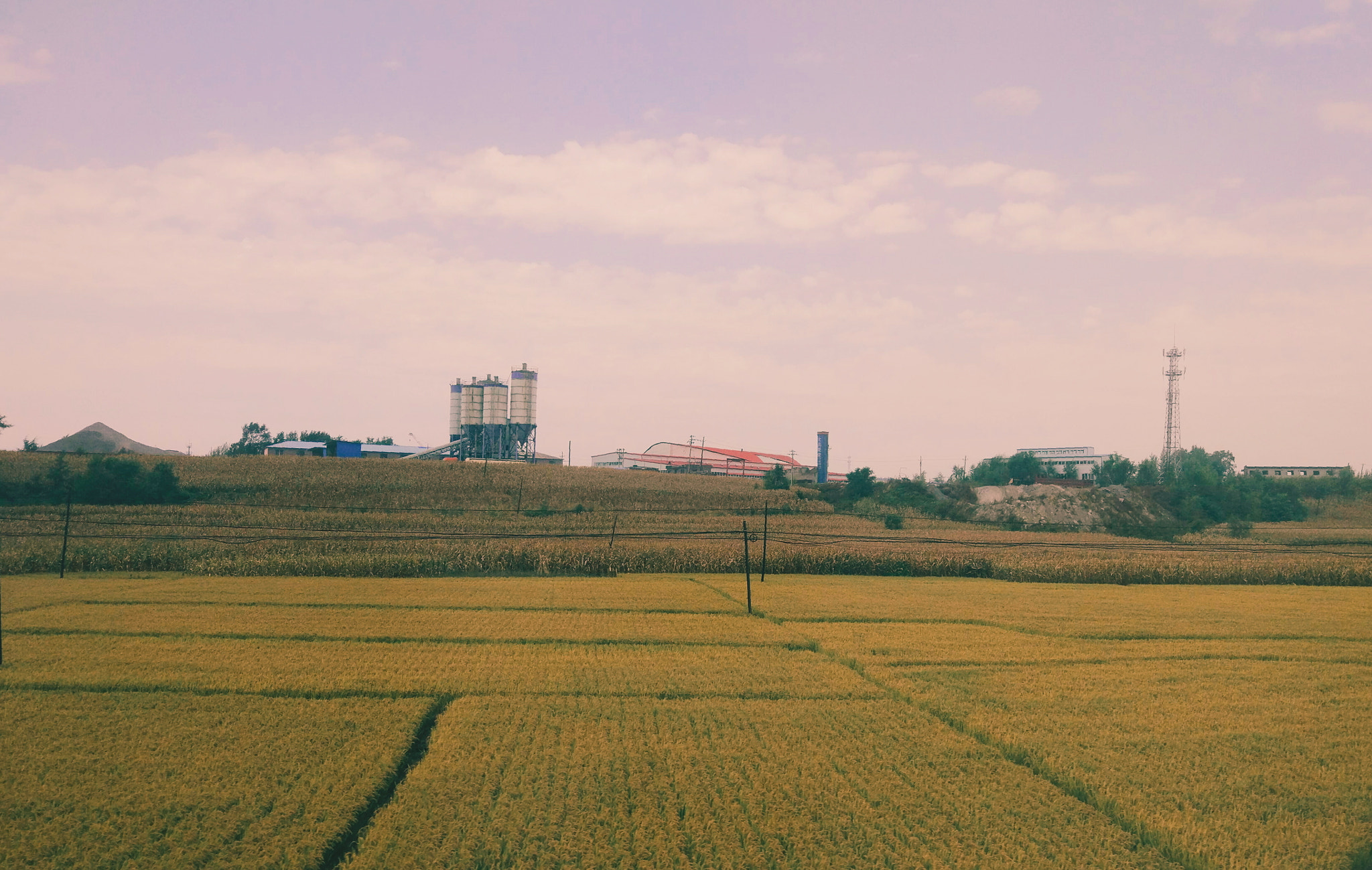 Xiaomi MI 5 sample photo
