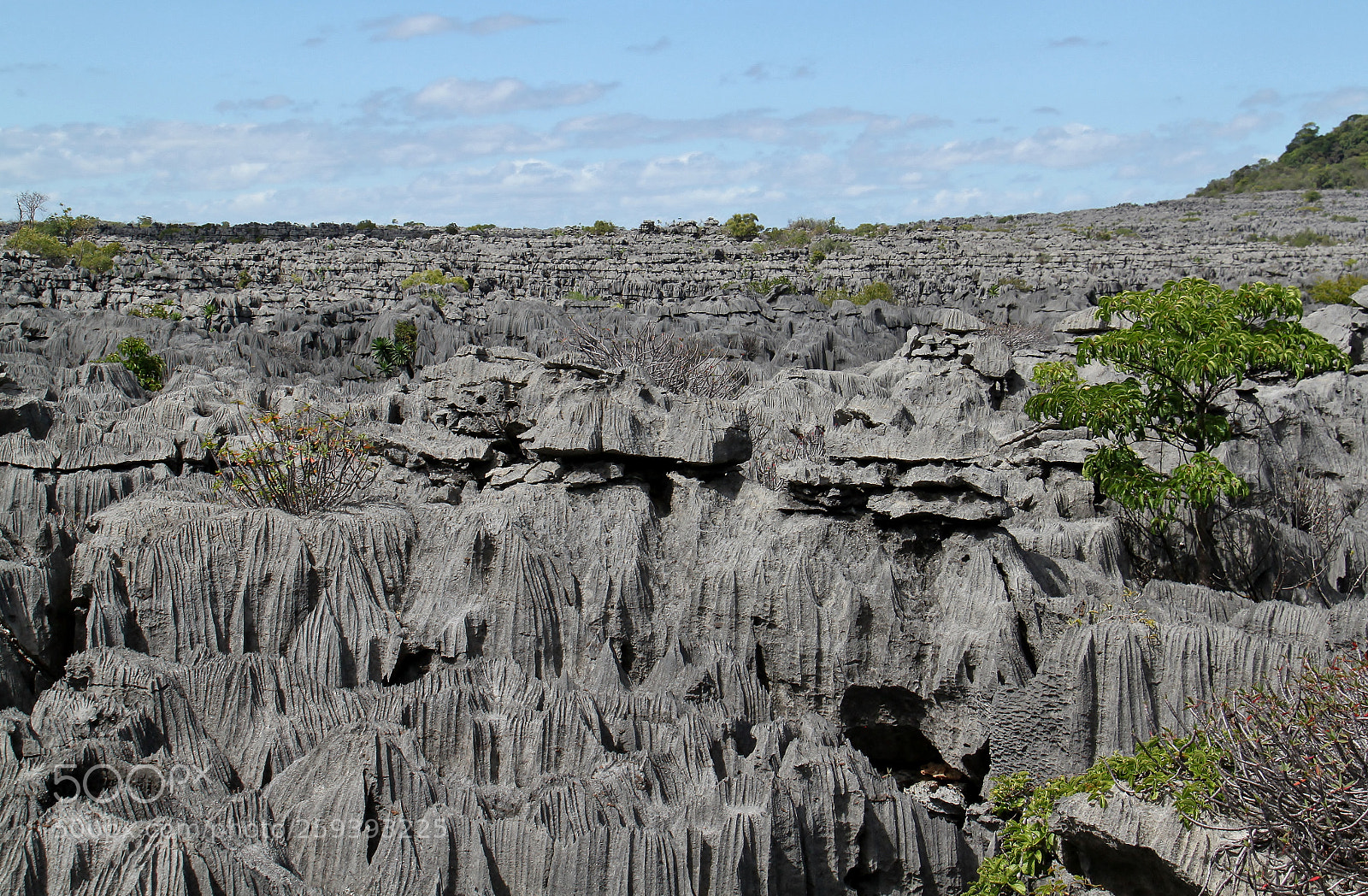 Canon EOS 500D (EOS Rebel T1i / EOS Kiss X3) sample photo. Madagaskar () photography