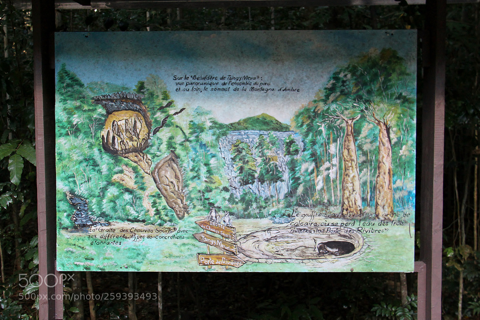 Canon EOS 500D (EOS Rebel T1i / EOS Kiss X3) sample photo. Madagaskar () photography