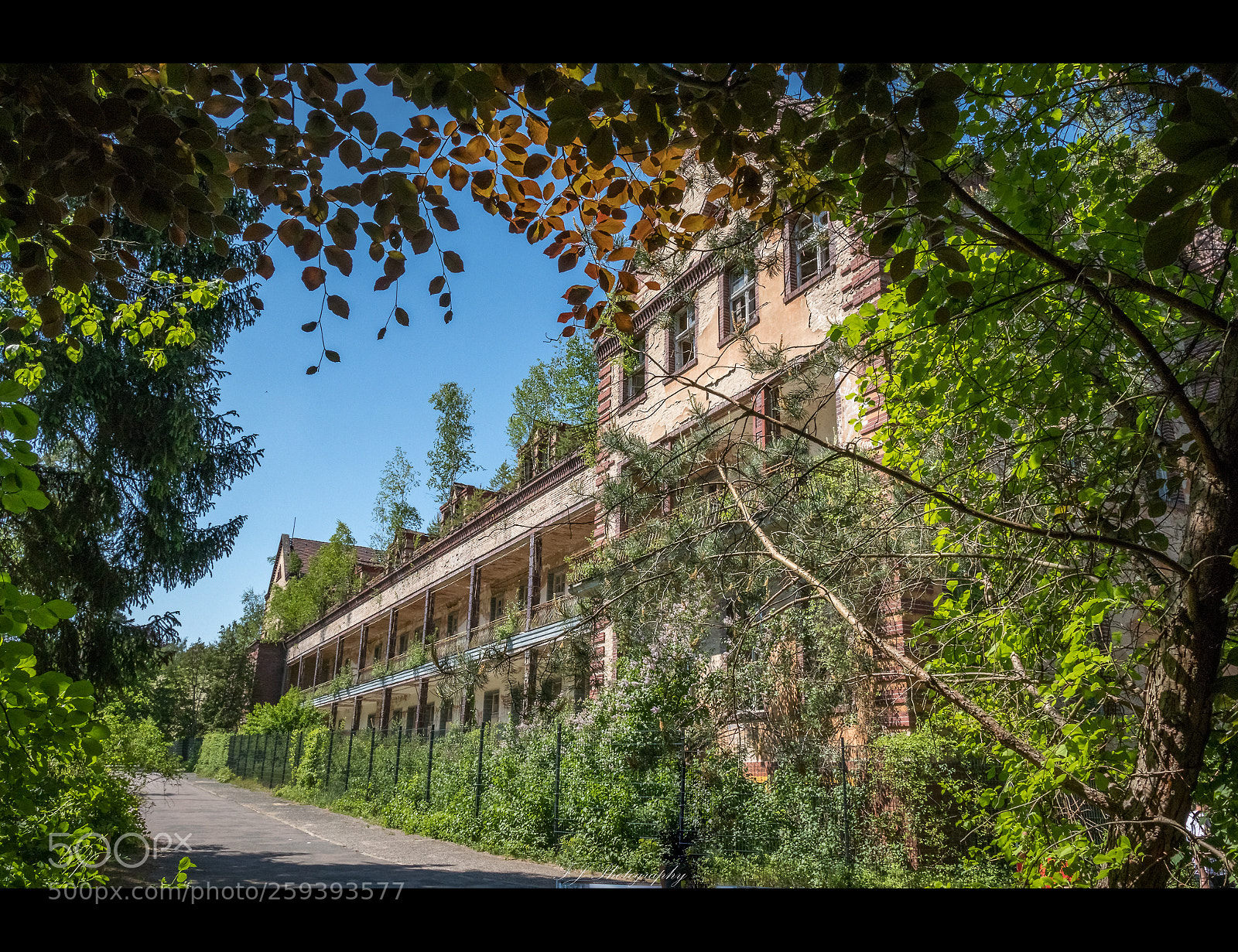 Canon EOS 80D sample photo. Herrschaftlich photography