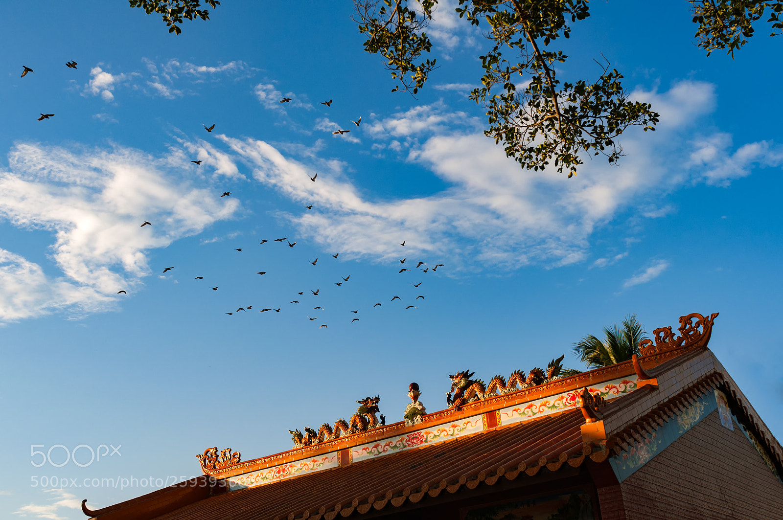 Nikon D90 sample photo. 和平盛世 photography