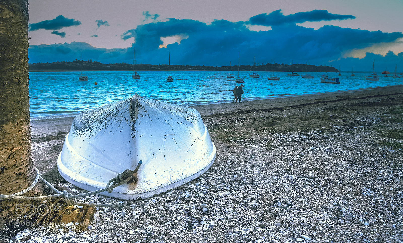Nikon D500 sample photo. Boat photography