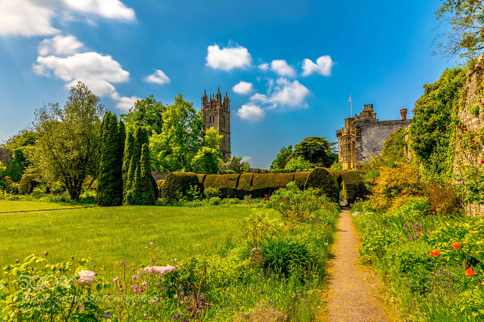 Canon EOS 5D Mark IV sample photo. Thornbury castle garden photography