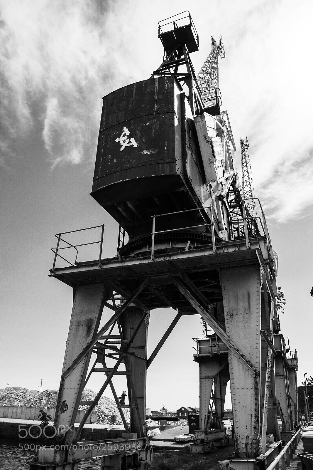 Nikon D7200 sample photo. Crane  photography