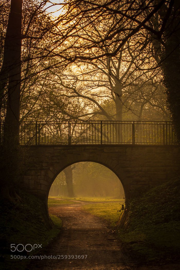Canon EOS 760D (EOS Rebel T6s / EOS 8000D) sample photo. Liebesgrund brücke photography