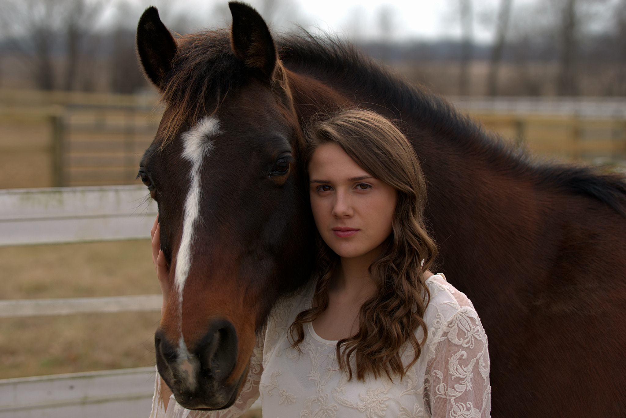 Sigma 50-100mm F1.8 DC HSM Art sample photo. Horse queen photography