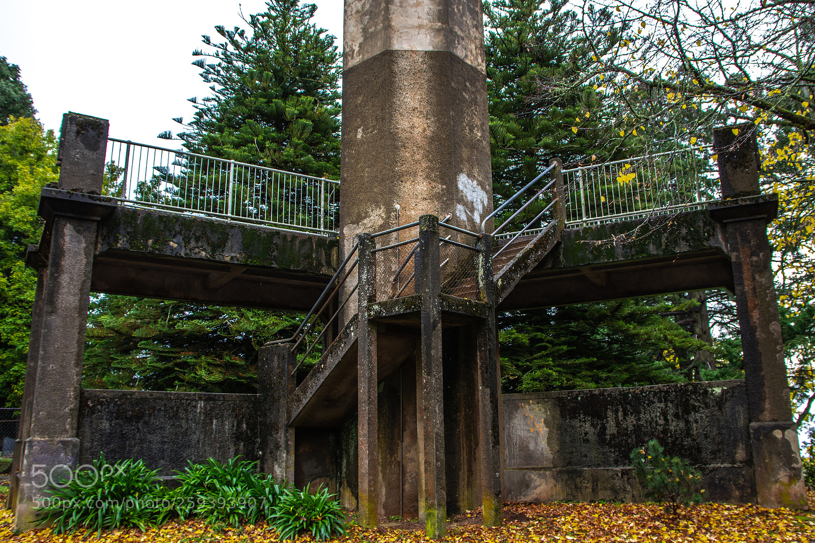 Nikon D7200 sample photo. Daylesford photography