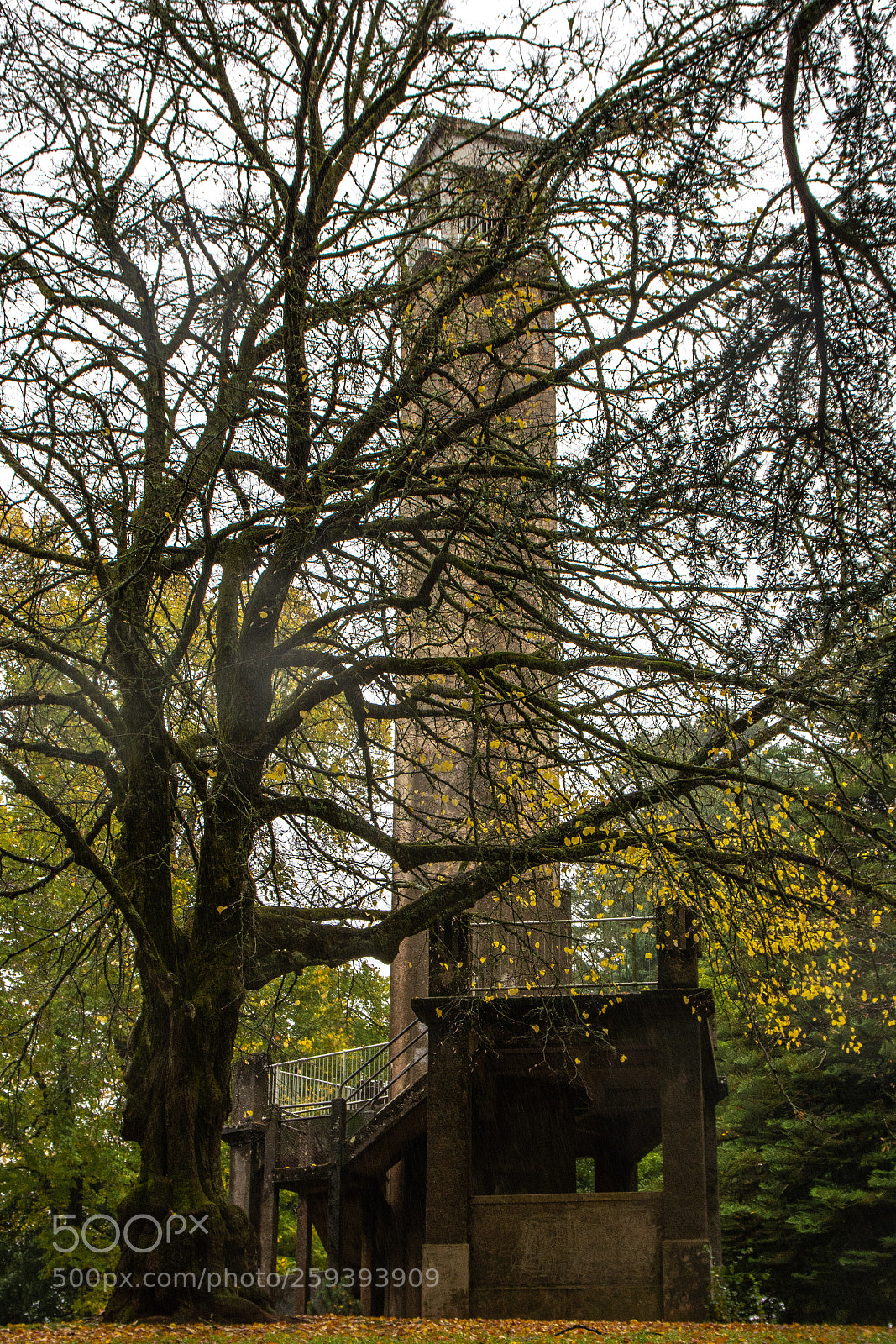 Nikon D7200 sample photo. Daylesford photography