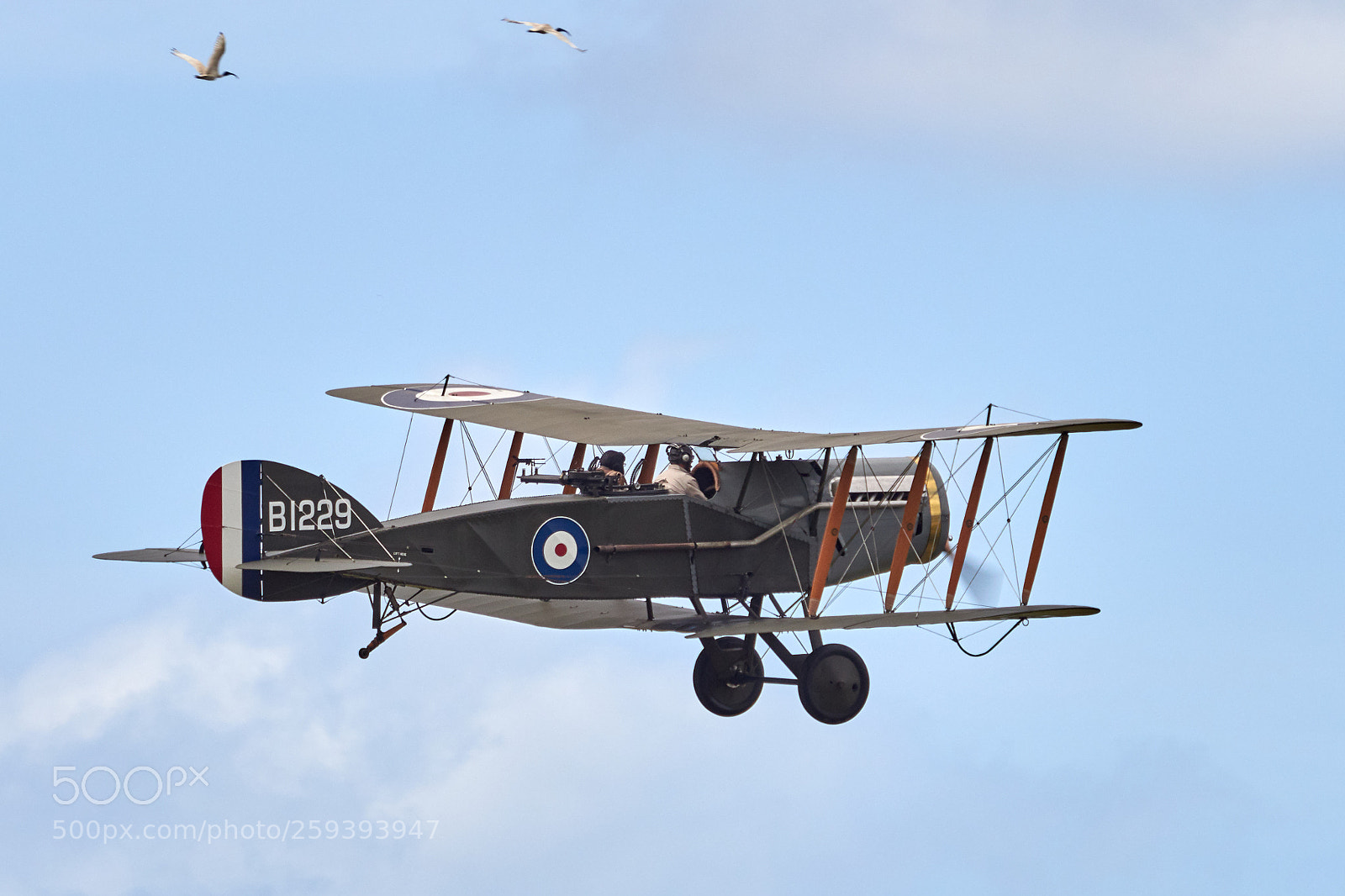 Olympus OM-D E-M1 Mark II sample photo. Bristol f2.b fighter (2) photography