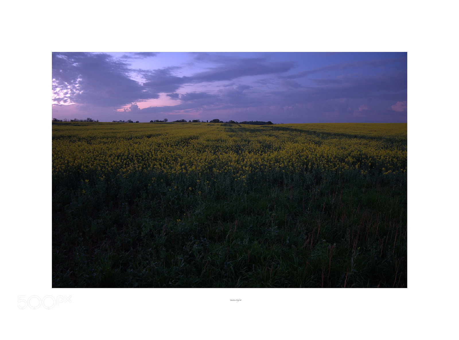 Fujifilm X-M1 sample photo. Dusk photography