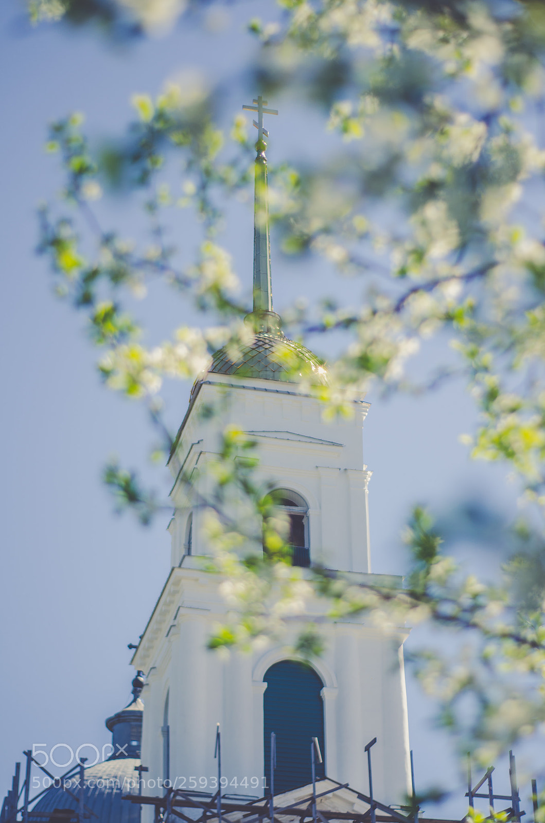 Nikon D5100 sample photo. Untitled photography
