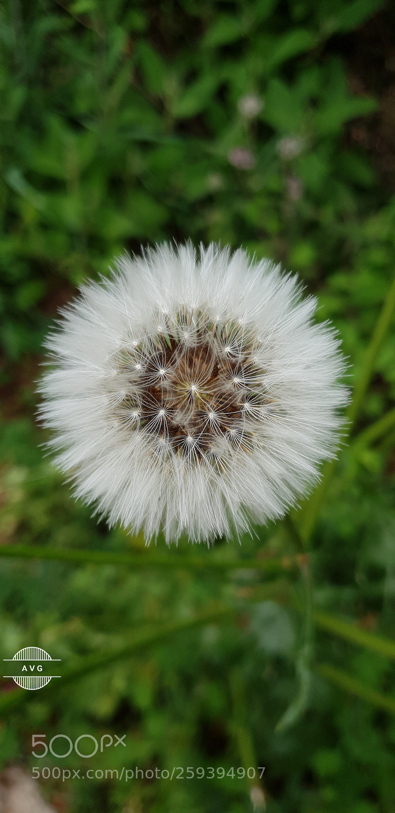 Samsung Galaxy S9 sample photo. Untitled photography