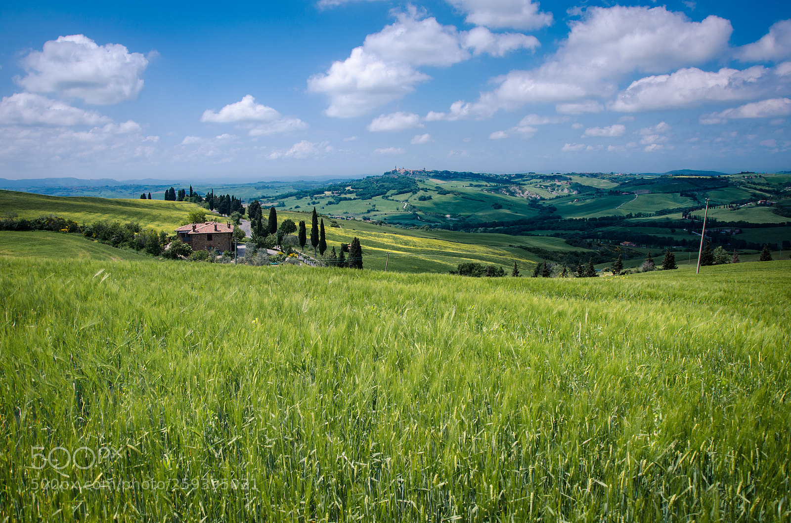 Nikon D7000 sample photo. Pienza view photography