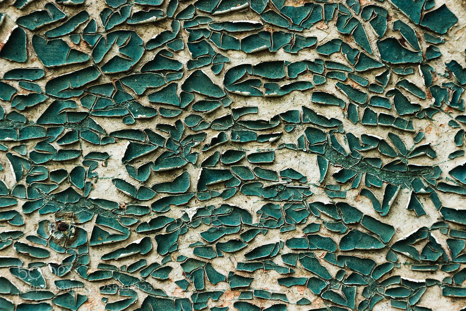 Canon EOS 600D (Rebel EOS T3i / EOS Kiss X5) sample photo. Vintage wood background photography