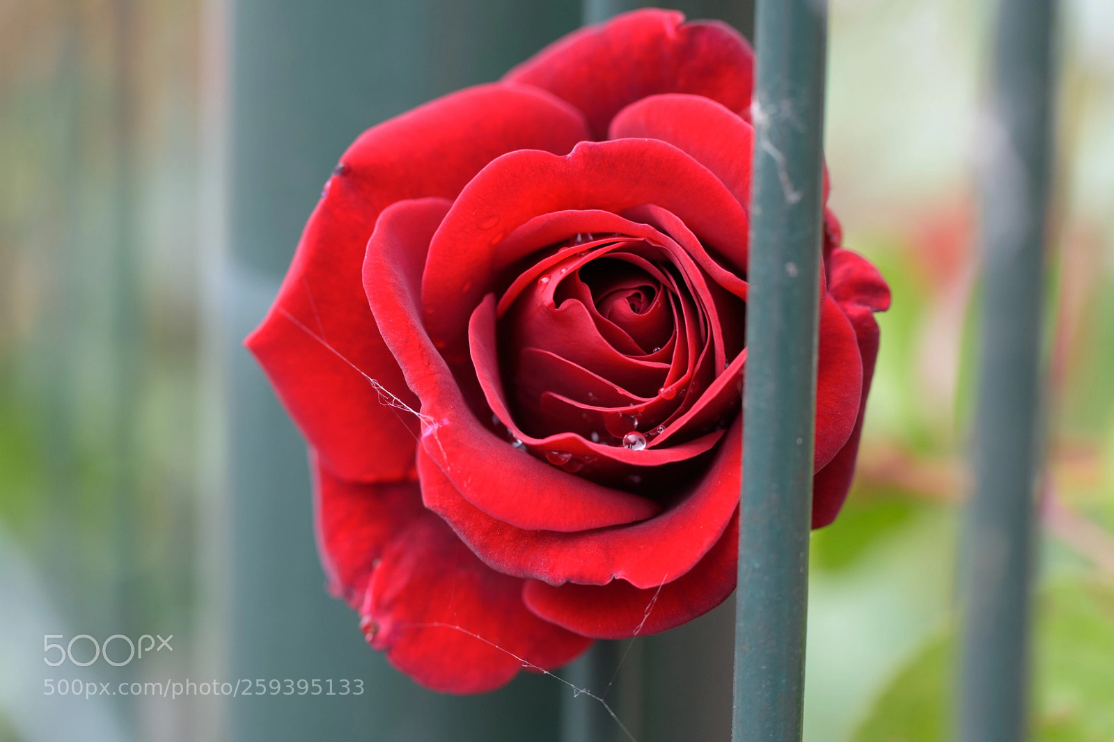 Nikon D5500 sample photo. I want to break photography