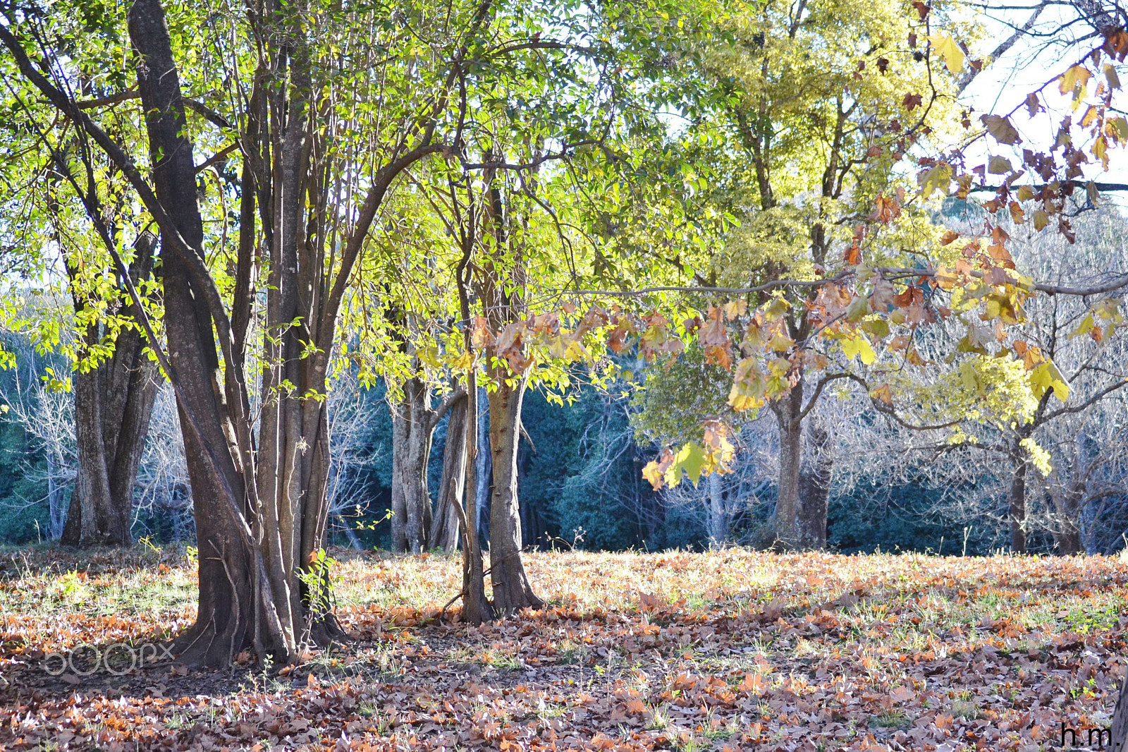Nikon D3100 sample photo. O photography