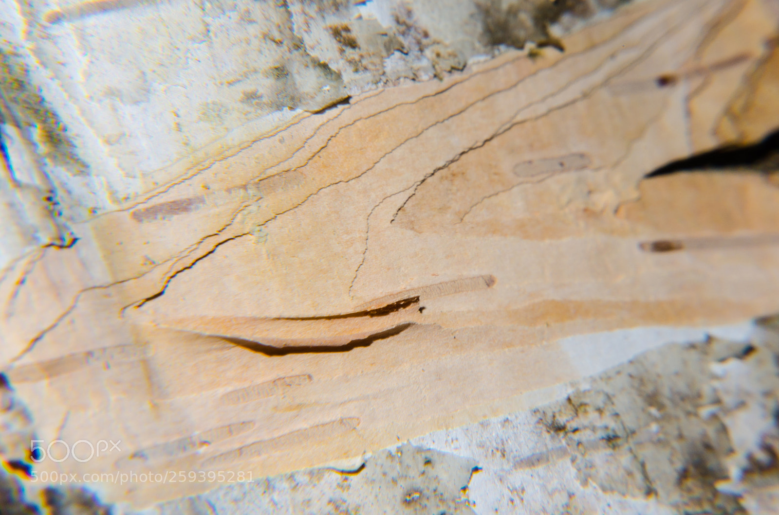 Nikon D5100 sample photo. 397 photography