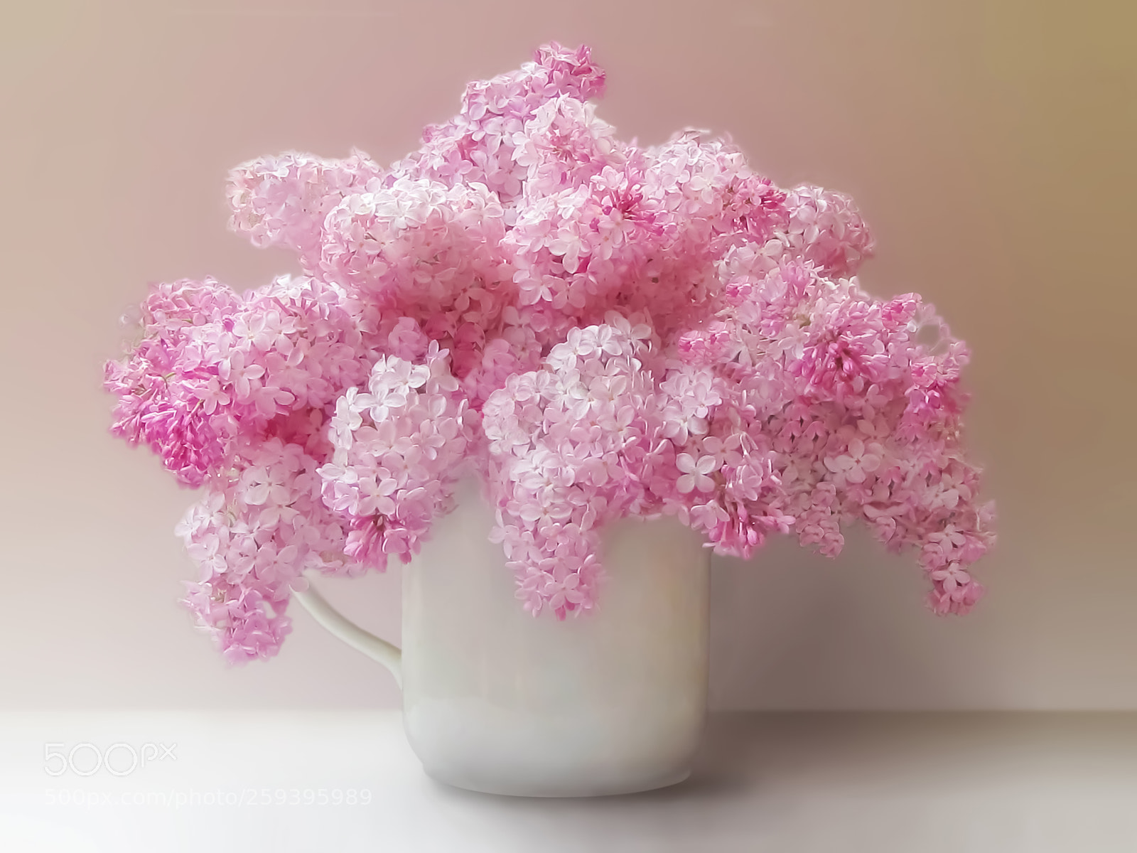 Canon PowerShot SX20 IS sample photo. My pink sentiment photography