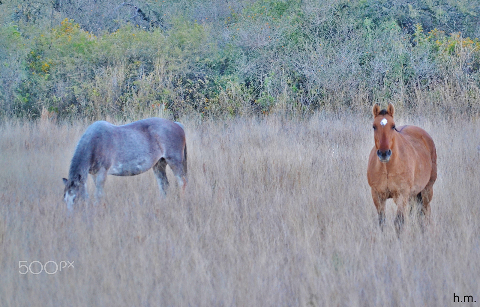 Nikon D3100 sample photo. Babee o photography