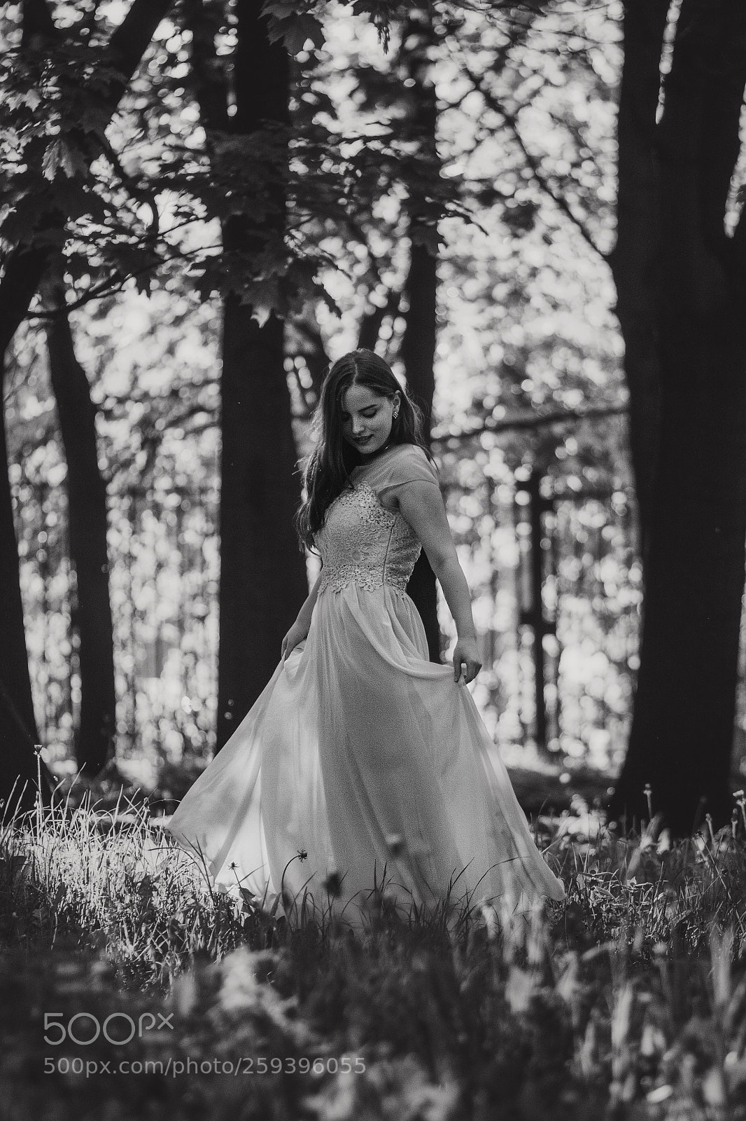 Canon EOS 50D sample photo. Black and white photography