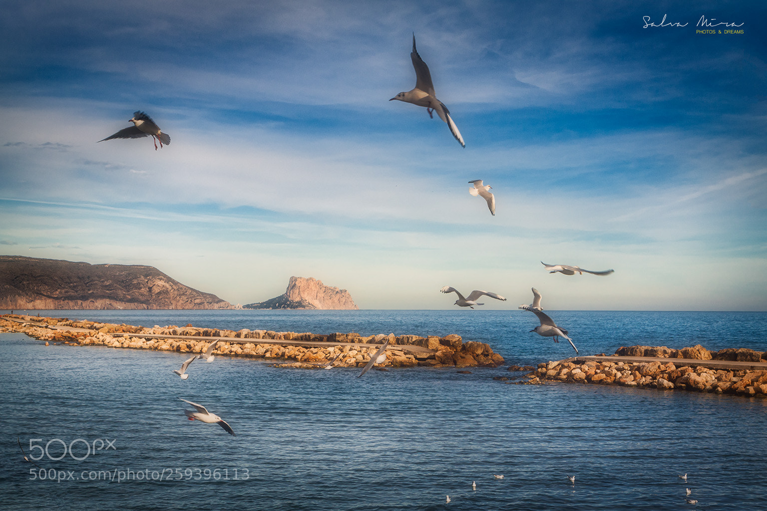 Canon EOS 50D sample photo. Les gavines i el photography