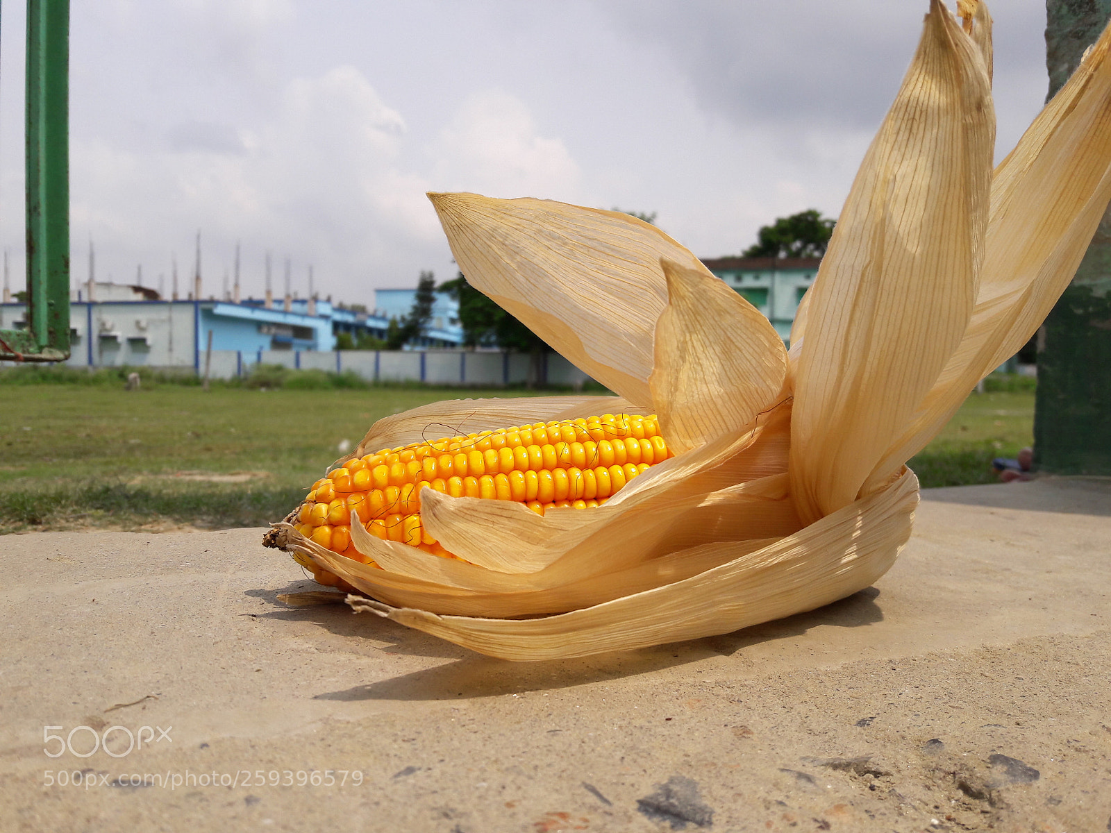 Samsung Galaxy J7 sample photo. Untitled photography