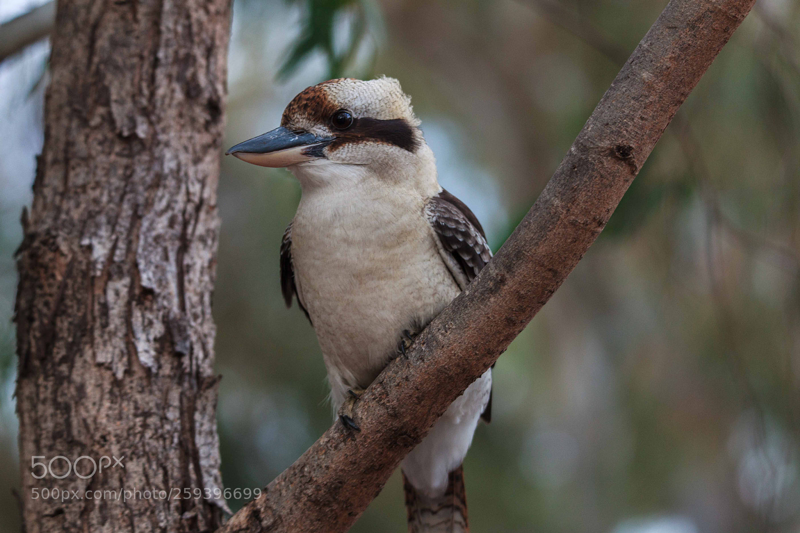 Canon EOS 5D Mark II sample photo. Would you like a photography