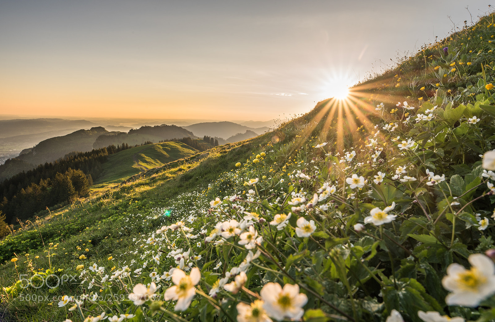 Nikon D750 sample photo. Wonderful world photography