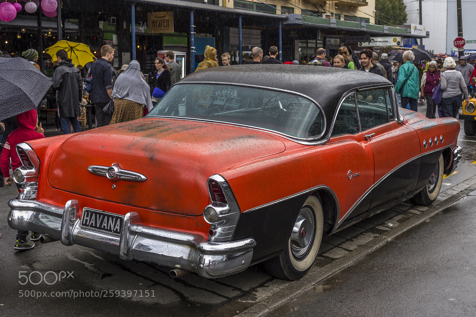 Canon EOS 6D sample photo. Wellington, new zealand photography