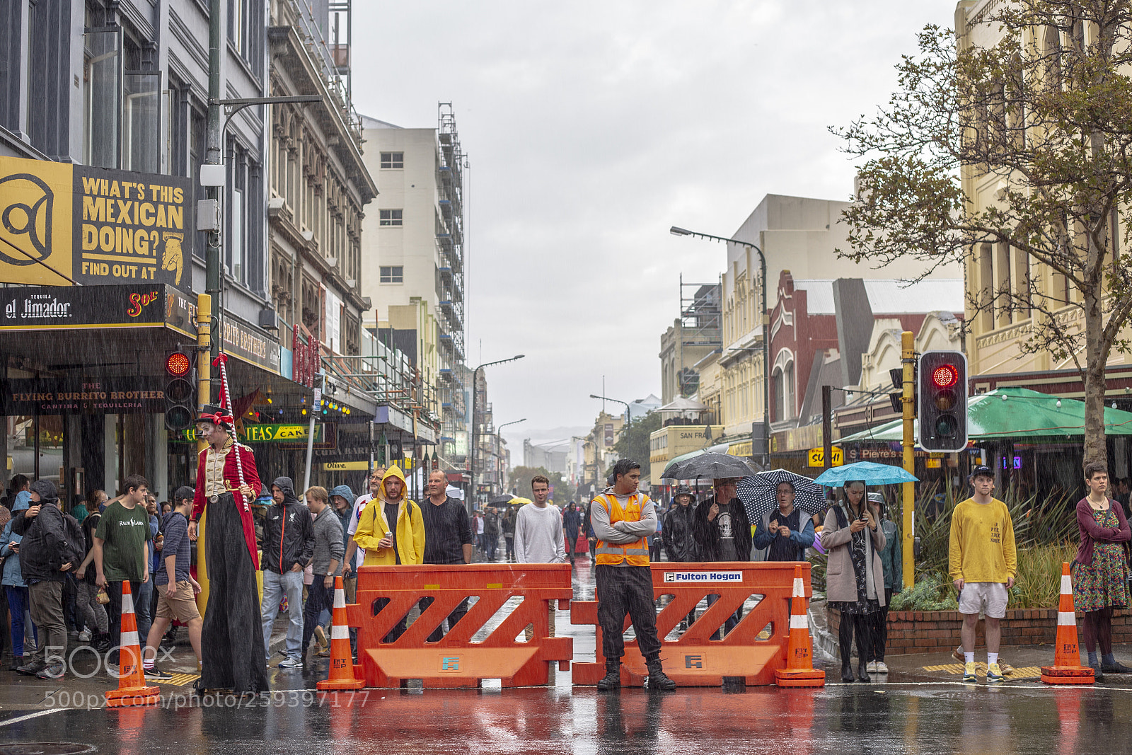 Canon EOS 6D sample photo. Wellington, new zealand photography