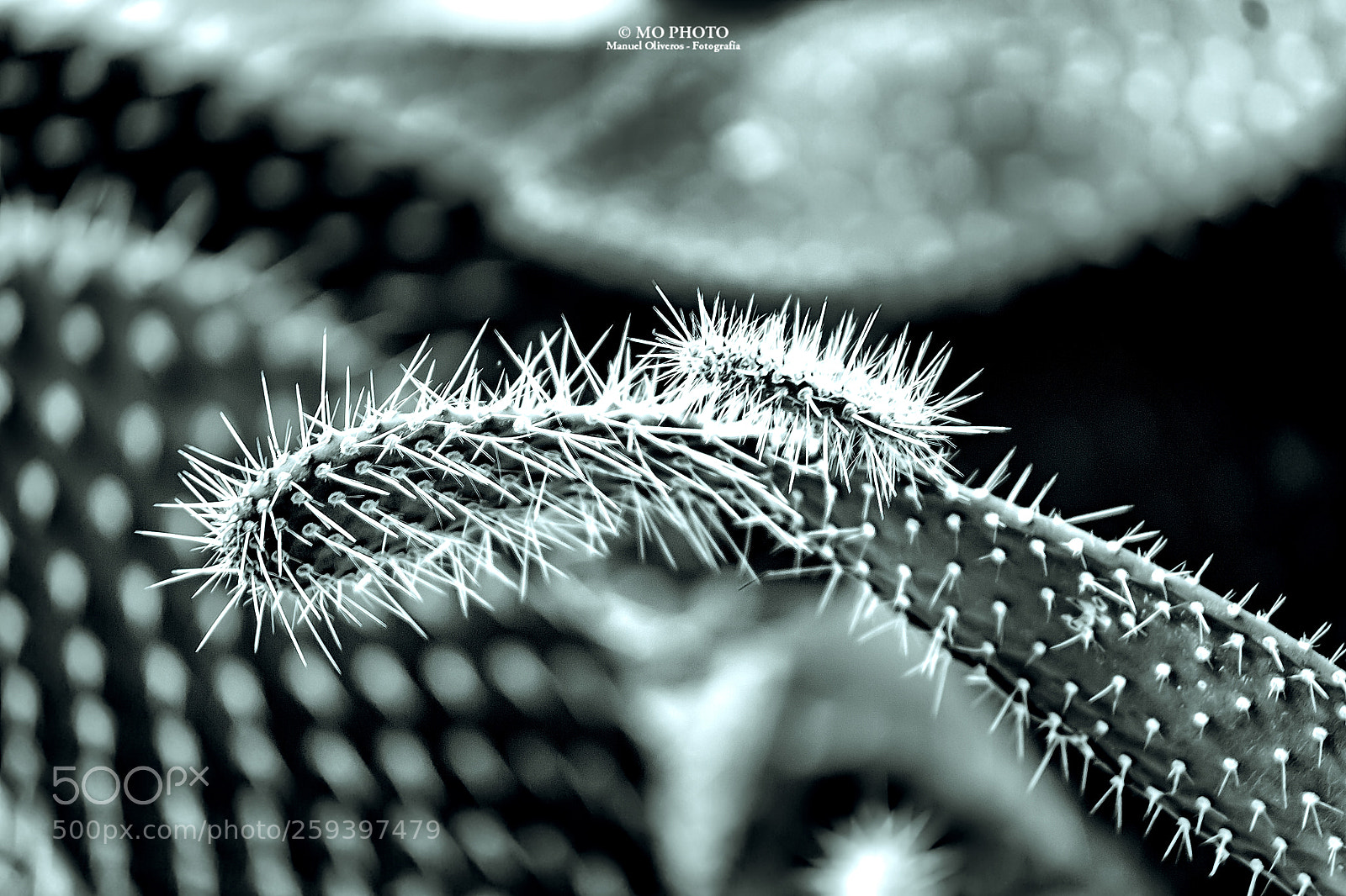 Canon EOS 50D sample photo. Motherly love what you photography